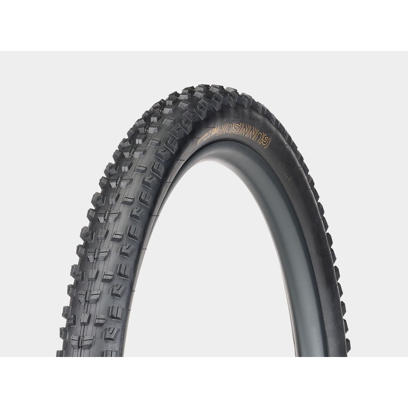 Tire Bontrager Gunnison Pro XR 29×2.4 TLR Black