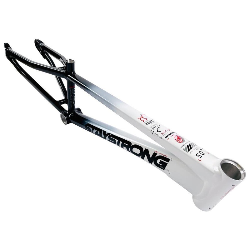 Stay Strong For Life 2024 V5 Mini Race Frame