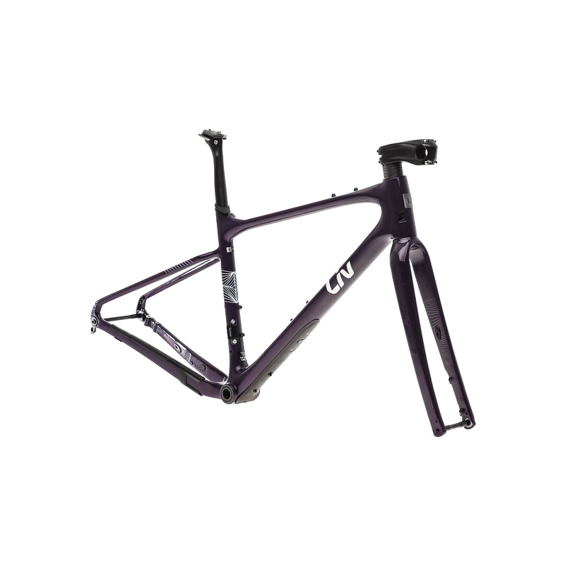 Liv Devote Advanced Pro Small Frameset – 2022