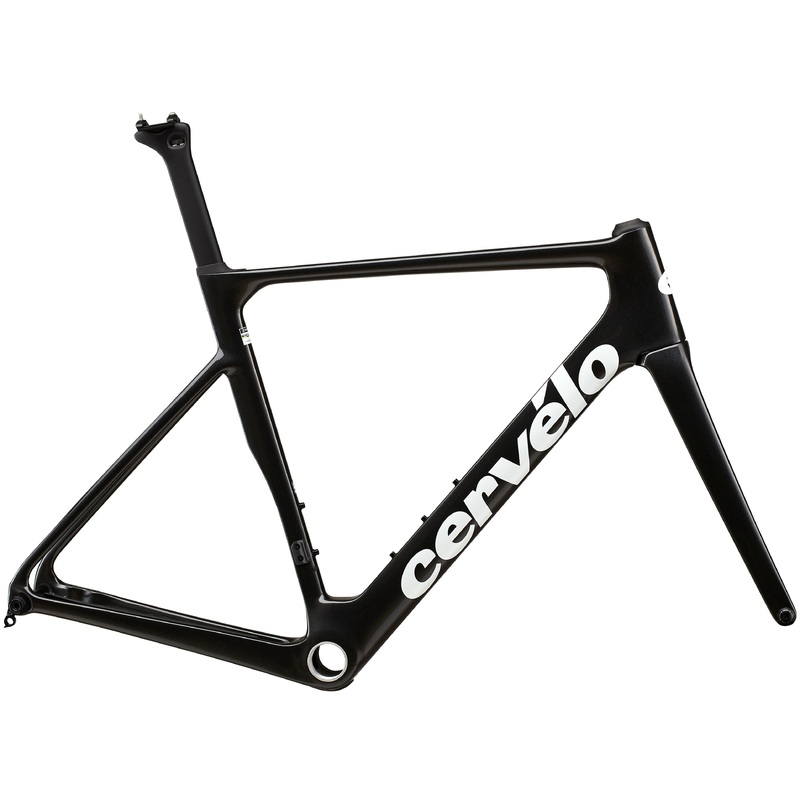 Soloist Frame (2024)