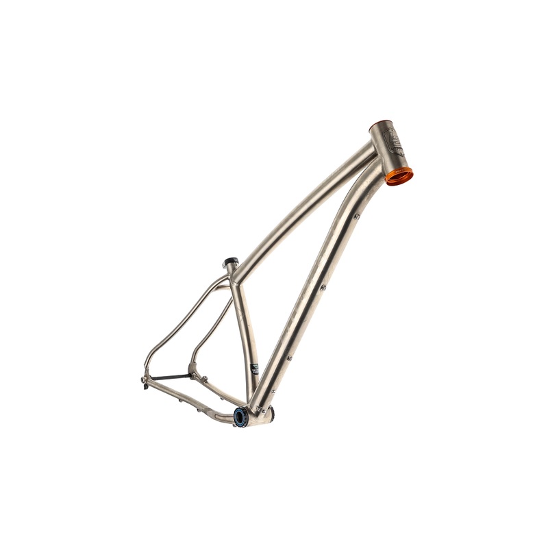 Litespeed Pinhoti III Medium Frame