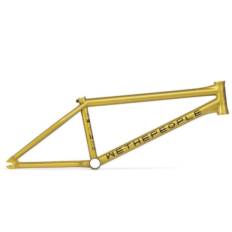 Wethepeople Network Frame (2021)