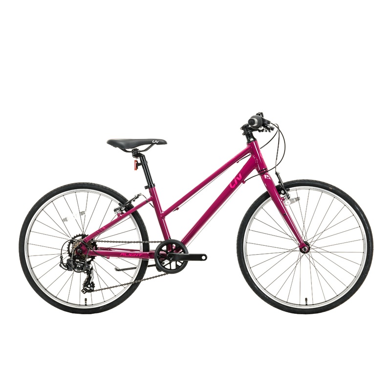 Liv Alight 24 Girl’s Bike – 2021, One Size