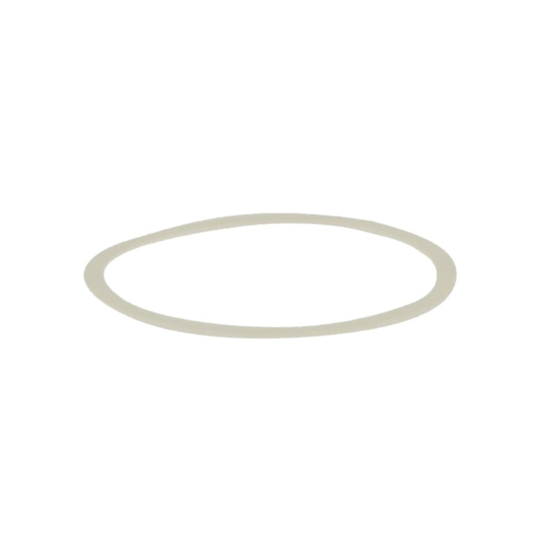 Stan’s No Tubes Pawl Retainer M-Pulse