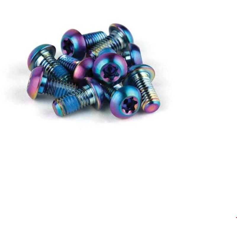SRAM Titanium Rotor Bolts