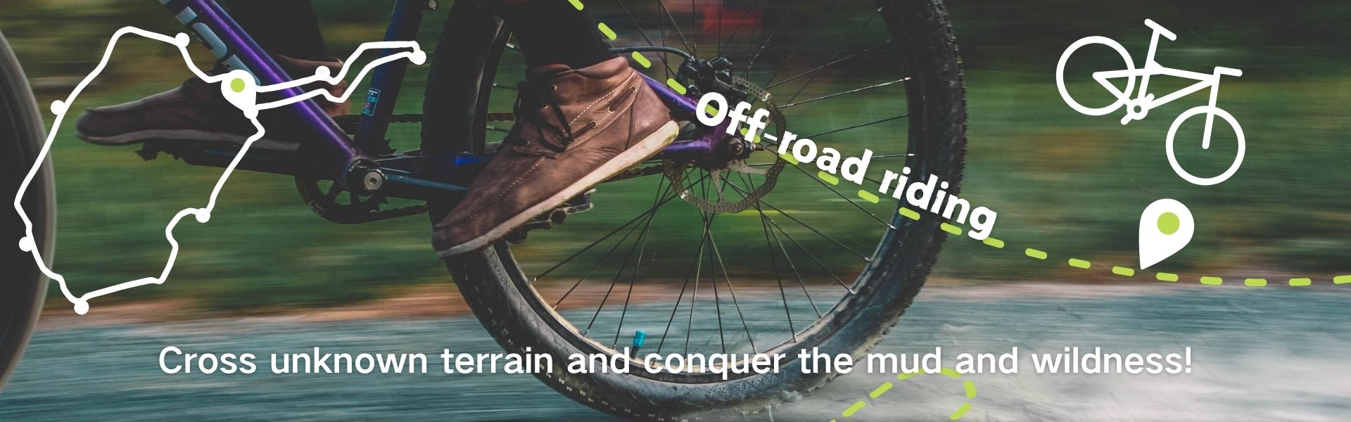 Grip, Glide, Go – Wheels and Tires That Match Your Momentum